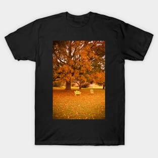 Vintage Autumn in Vermont T-Shirt